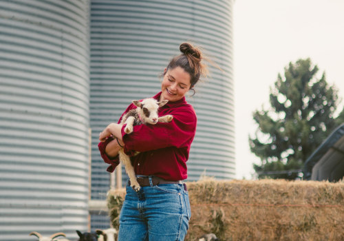 The Role of Churches in Combating Food Insecurity in Blaine, Minnesota